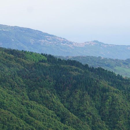 Tranquil Retreat Homestay Ghum Esterno foto