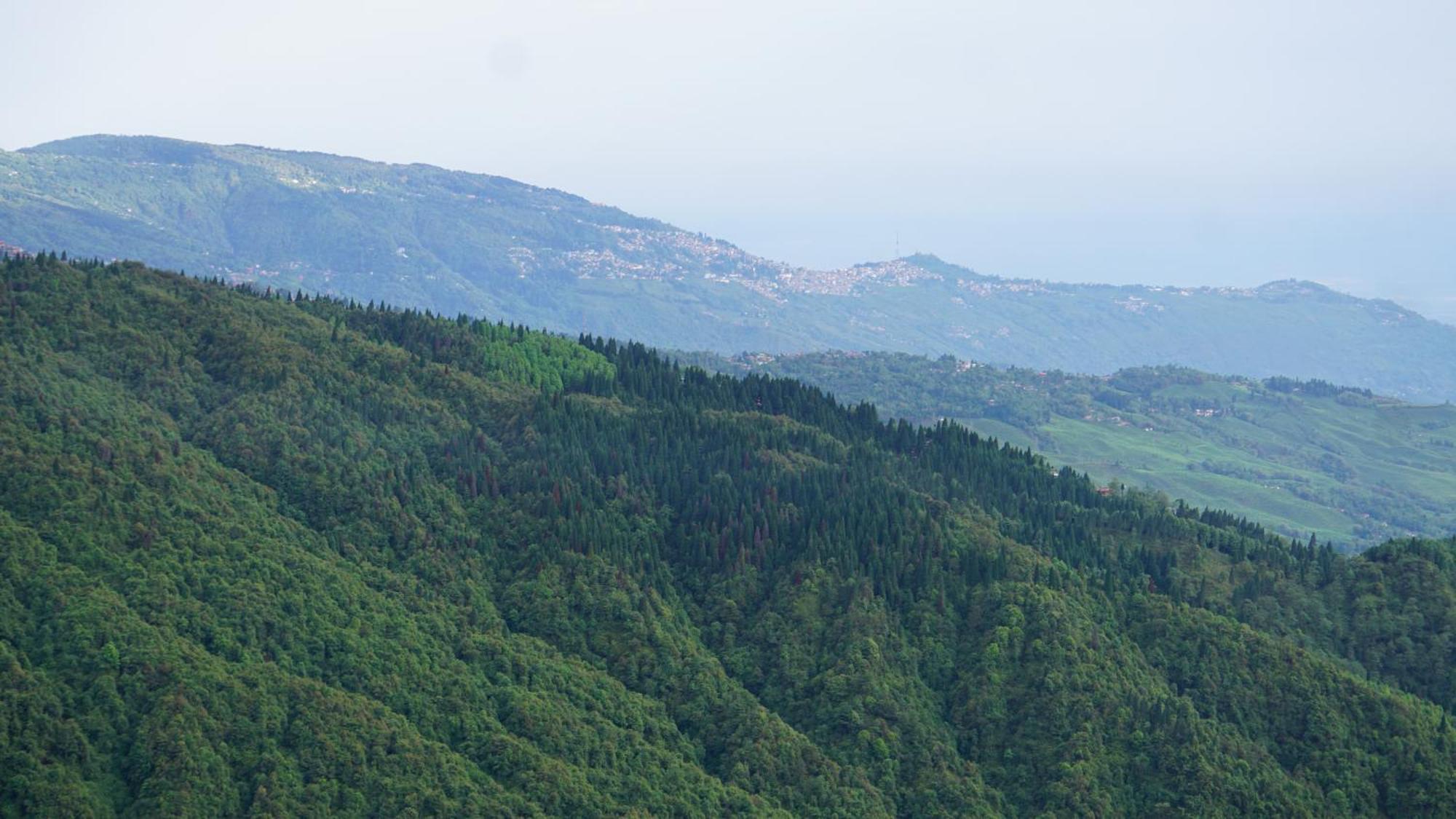 Tranquil Retreat Homestay Ghum Esterno foto