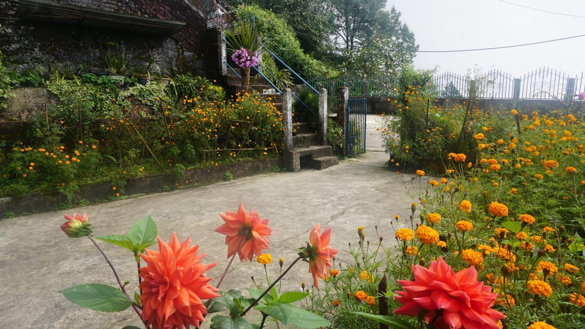 Tranquil Retreat Homestay Ghum Esterno foto