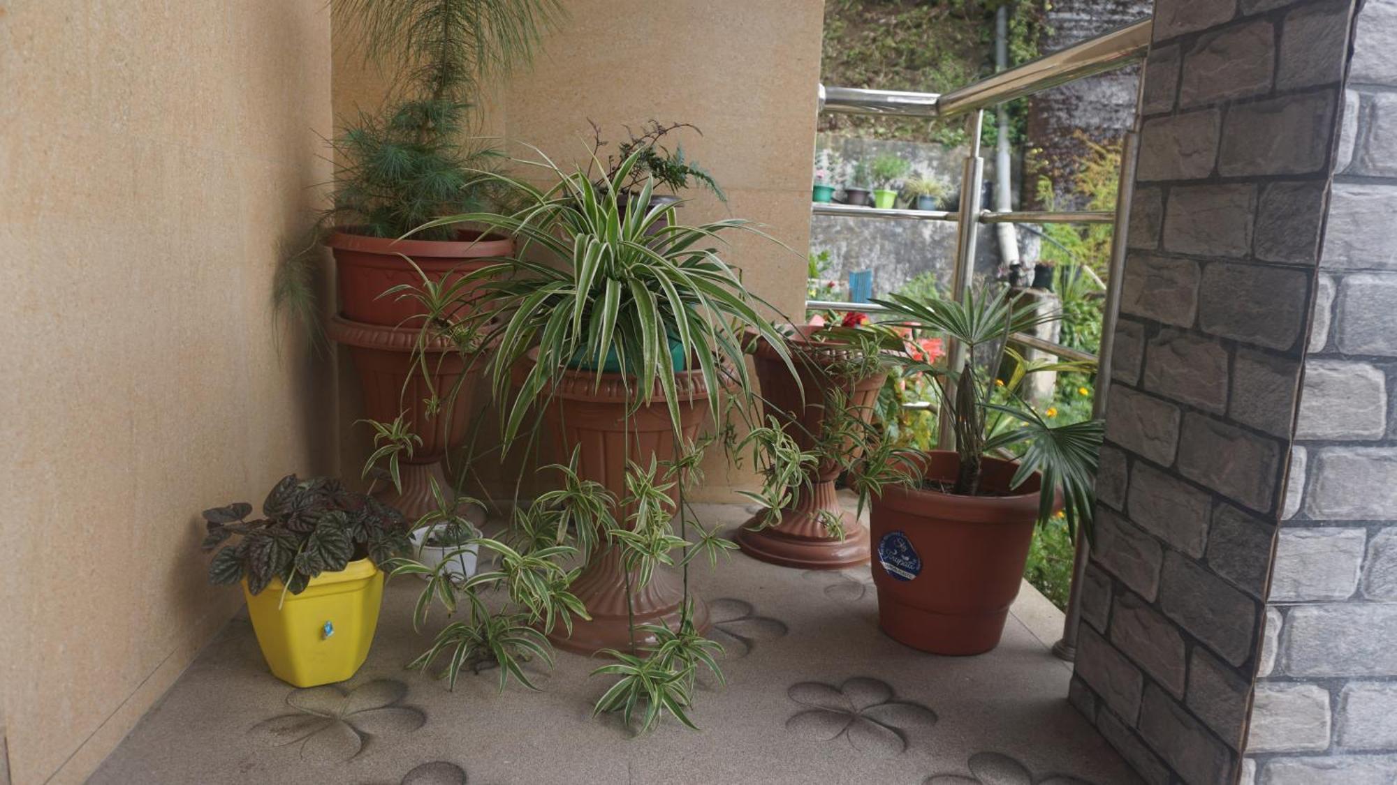 Tranquil Retreat Homestay Ghum Esterno foto