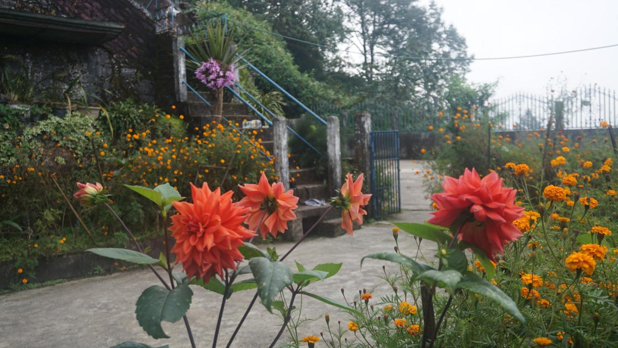 Tranquil Retreat Homestay Ghum Esterno foto